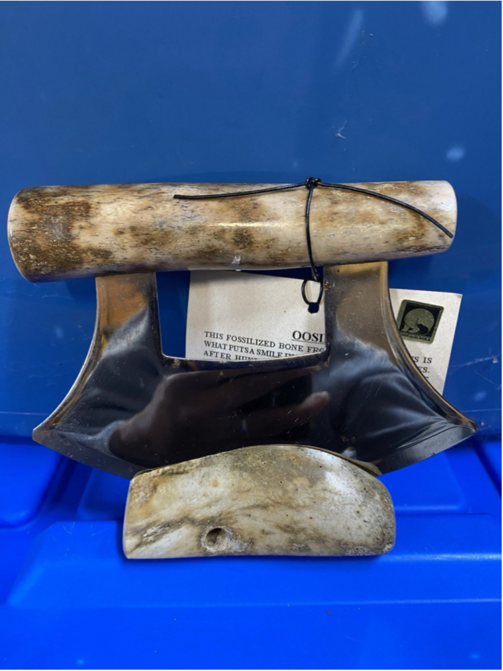 Handcrafted Fossil Walrus Oosik (Baculum) Ulu Alaska Natural Shed CARIBOU